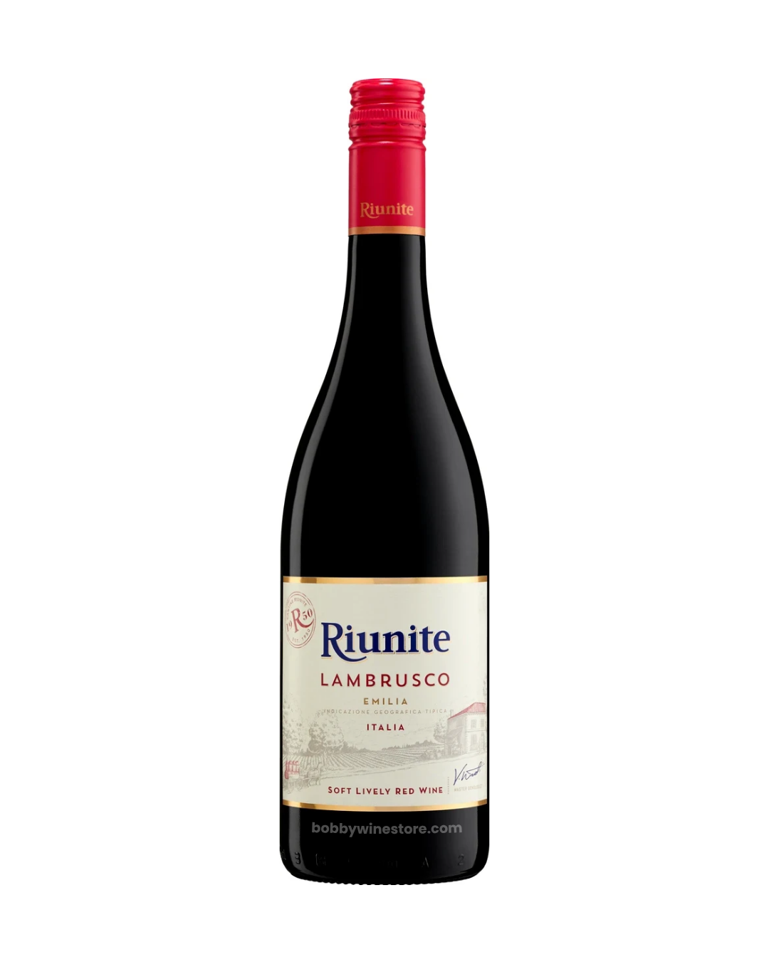 Ruinite Lambuesco - 750ml